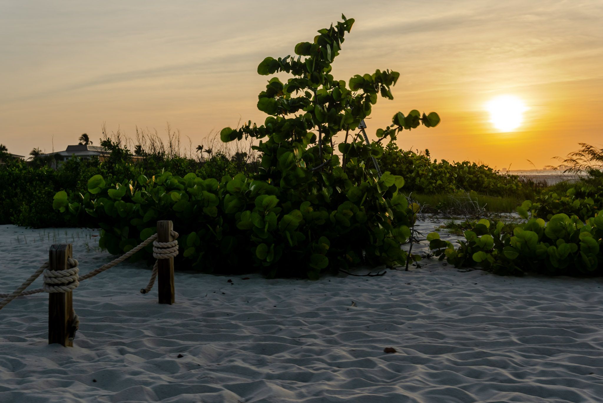 Shells and sand along a Sanibel beach.